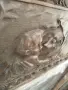 Бронзова пластика , снимка 2