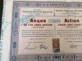 Акция за 100 лева | Генерално кредитно акционерно дружество | 1917г., снимка 4