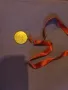 медал олимпийски игри , снимка 2