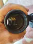 Бинокъл OPTICRON 10x42 , снимка 5