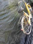 Електрическо колело, снимка 4