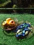 Ретро фруктиера и плато риба-цветно стъкло, снимка 1 - Аксесоари за кухня - 42216638