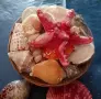 Кошница с екзотични раковини +още 2 броя. , снимка 4
