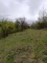 Земеделска земя, снимка 4