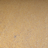 Жито, царевица, слънчоглед и слънчогледово кюспе, шрот, снимка 3 - За селскостопански - 44790878