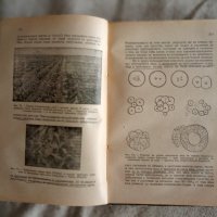 Учебник обща биология. 1945 г., снимка 4 - Учебници, учебни тетрадки - 37897908
