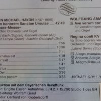 JOHANN MICHAEL HAYDN, снимка 7 - CD дискове - 29107555