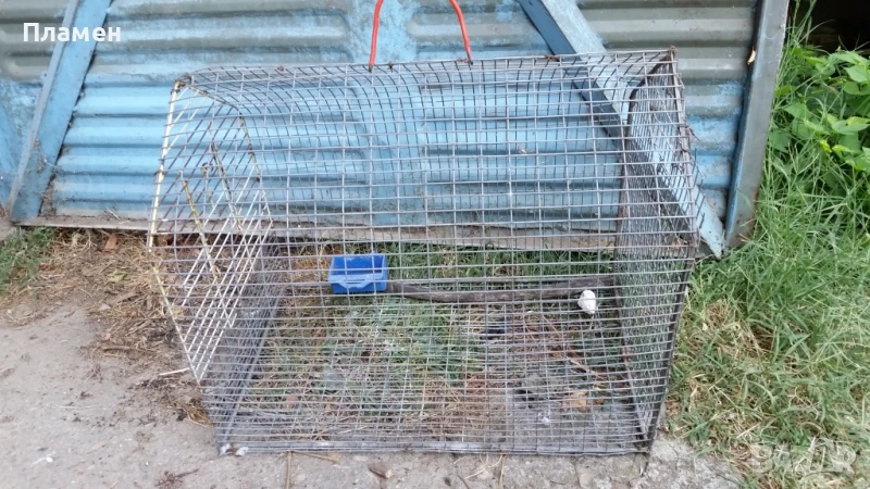 Клетка за птици, снимка 1