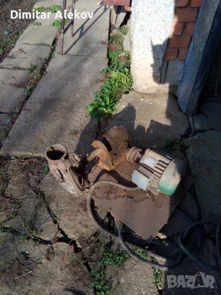 роначка на царевица, снимка 1