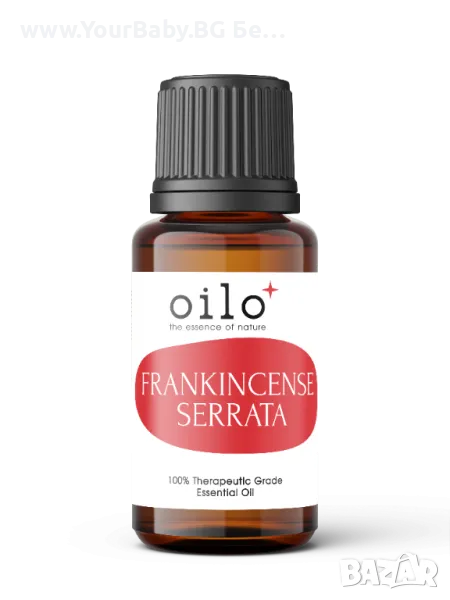 Oilo БИО Етерично Масло от Тамян серата - Frankincense Serrata Oilo 5 мл., снимка 1