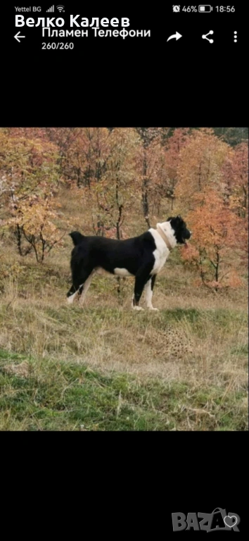 Продавам, снимка 1