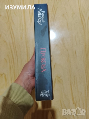 Книги на Камила Лекберг , снимка 3 - Художествена литература - 47067653