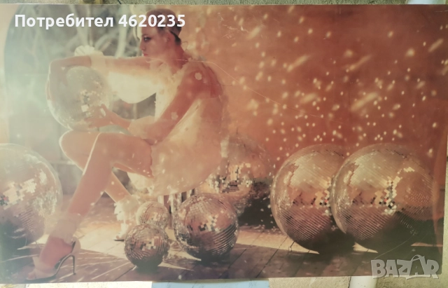 Различни видове и размери картини , снимка 6 - Други стоки за дома - 52225044