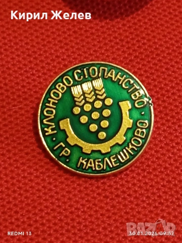 Лот 10 броя значки стари редки от соца за КОЛЕКЦИОНЕРИ 53590, снимка 6 - Колекции - 53279632