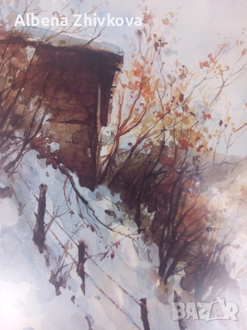 две картини рамкирани под хелеоматично стъкло, снимка 8 - Картини - 52051713