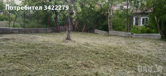 Опасни дървета рязане косене непроходима растителност почистване от-до, снимка 12 - Други услуги - 49352802