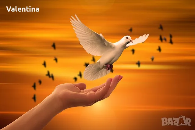 Лекции - беседи, подходящи за семинари и събития за личностно и духовно развитие, снимка 3 - Други курсове - 48363933