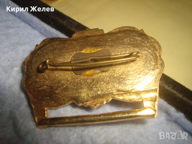 1977г. Хесен ПОЗЛАТЕН БРОНЗОВ НОСАЧ за РЯДЪК КОЛЕКЦИОНЕРСКИ НЕМСКИ МЕДАЛ 30659, снимка 2 - Антикварни и старинни предмети - 37954942