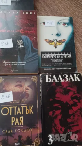 Фонтани на мълчанието, Мълчанието на агнетата, много книги, снимка 4 - Художествена литература - 47392130
