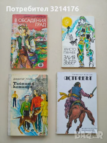 Тайната команда. Или петимата от VII в - Димитър Гулев (Отлично състояние)