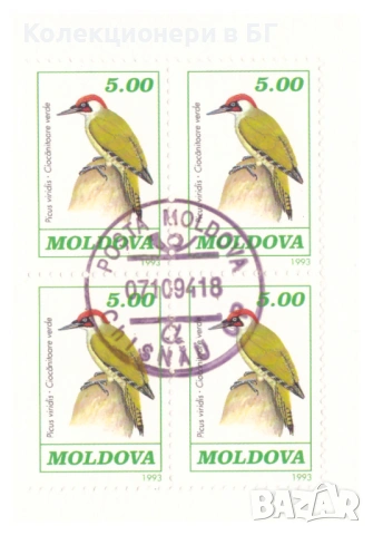 НЕЦИРКУЛИРАЛА БАНКНОТА В НУМИЗМАТИЧЕН ПЛИК - МОЛДОВА, снимка 4 - Нумизматика и бонистика - 53332032