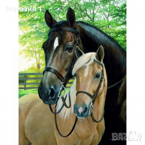 ДИАМАНТЕН гоблен Двойка коне, снимка 1 - Гоблени - 31177127