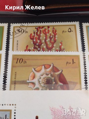 Пощенски марки серия ЕКЗОТИЧНИ РИБИ,РАКОВИНИ за КОЛЕКЦИЯ 37886, снимка 8 - Филателия - 40455113