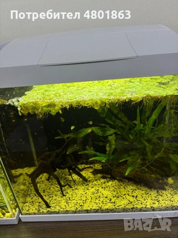2бр оборудвани и готови аквариума !!!, снимка 2 - Аквариуми - 54359633