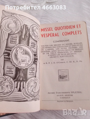 СТАРА БИБЛИЯ , снимка 5 - Антикварни и старинни предмети - 53022427