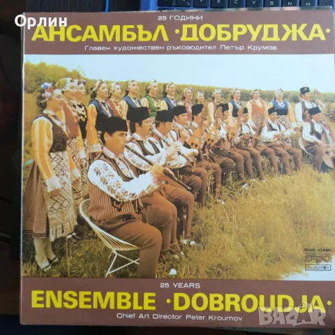 Грамофонни плочи - народна музика 3, снимка 7 - Грамофонни плочи - 49664947