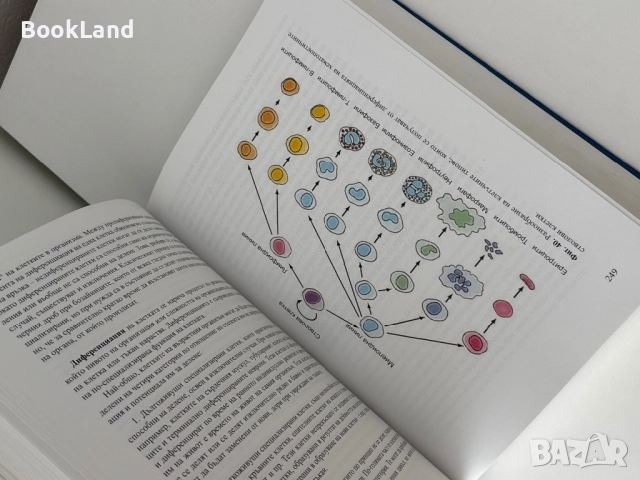 Стволови клетки – Стоян Чакъров, Румена Петкова, Румен Панков, снимка 12 - Специализирана литература - 51722572