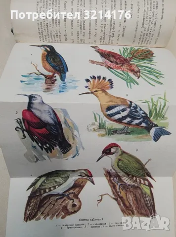 Физиология на растенията - А. Торев, Л. Бозова, Д. Милева, снимка 4 - Специализирана литература - 48335280