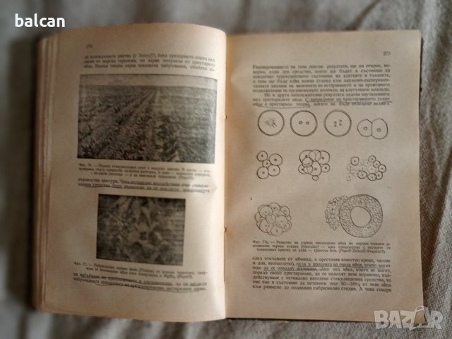 Учебник обща биология. 1945 г., снимка 4 - Учебници, учебни тетрадки - 37897908