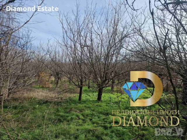 Парцел в село Троян, общ. Симеоновград, снимка 4 - Парцели - 53046100