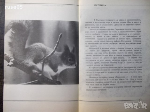 Книга "Не ги убивайте - Димо Божков" - 1 - 176 стр., снимка 7 - Специализирана литература - 35572142