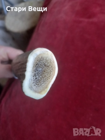 Ловен нож с дръжка от еленов рог Терна, снимка 7 - Ножове - 52947343