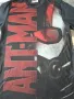 Мъжка Черна Тениска Marvel Ant-Man L T-Shirt Avengers, снимка 2