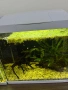2бр оборудвани и готови аквариума !!!, снимка 2