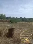 Къща село Елена , снимка 7
