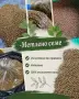 Метлено семе небелено, снимка 4