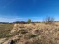 Парцел първенец, снимка 5