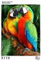 Диамантен гоблен Пъстри папагали