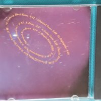Jan Hammer - 1994 - Drive(Downtempo, Synth-pop), снимка 4 - CD дискове - 44375378