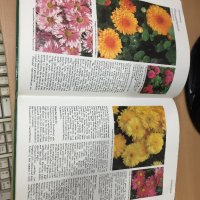 Цветна Енциклопедия - A-Z of perennials -Successful Gardening, снимка 5 - Енциклопедии, справочници - 30873235