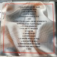Bonnie Tyler,Enya,Clannad, снимка 5 - CD дискове - 42087685