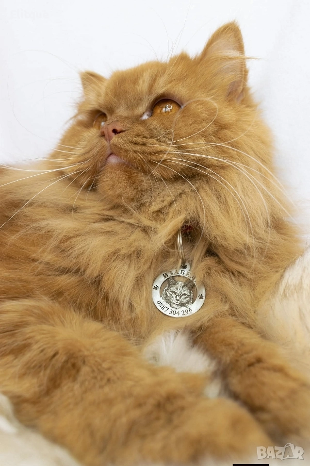 медальони за кучета от неръждаема стомана , снимка 1