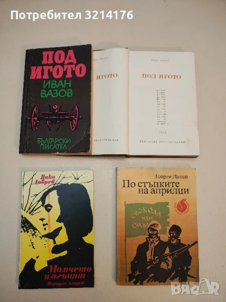 Момчето и огънят - Янко Добрев, снимка 1