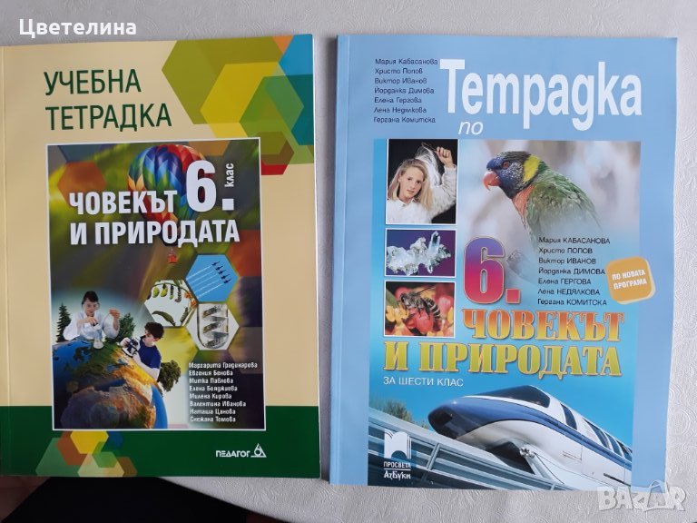 Учебни помагала  6 клас , снимка 1