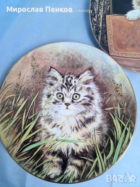 Чинии за стена, снимка 1