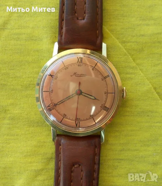 Minerva, снимка 1